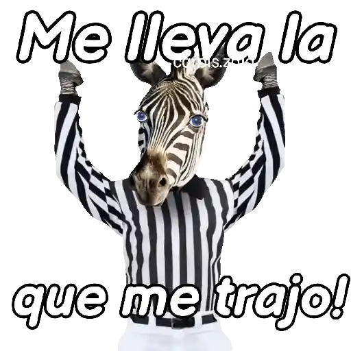 Animales Random pa contestar 💬