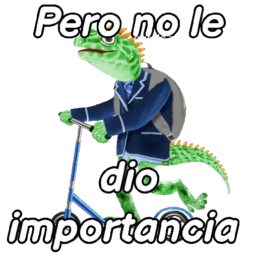 Animales Random pa contestar 💬