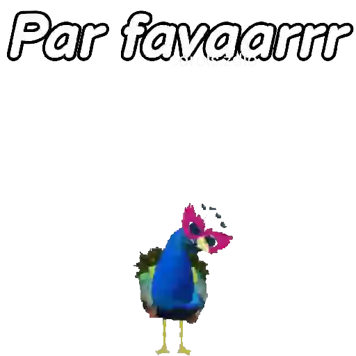 Animales Random pa contestar 💬
