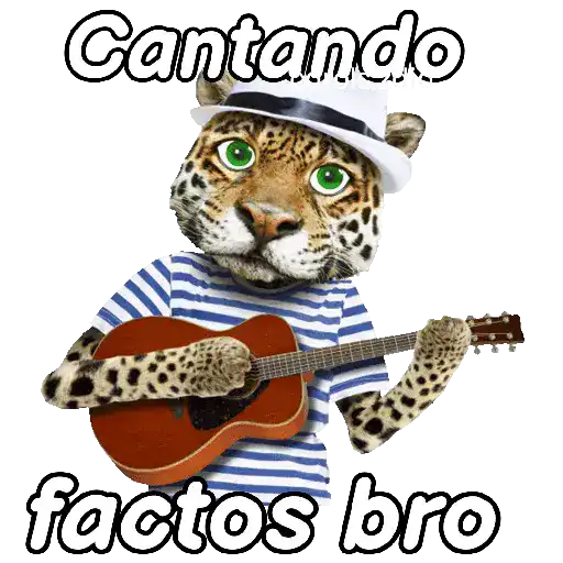 Animales Random pa contestar 💬