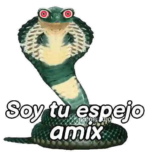 Animales Random pa contestar 💬