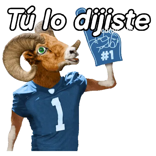 Animales Random pa contestar 💬