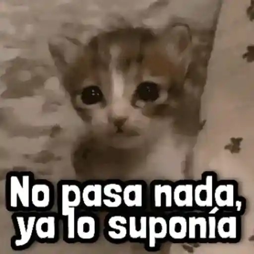 Mix Frases para Responder #➎