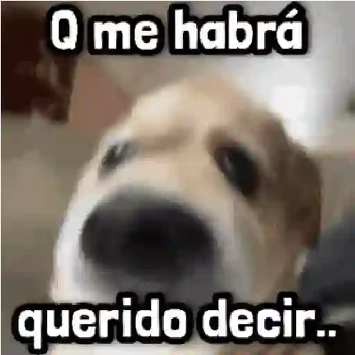 Mix Frases para Responder #➎