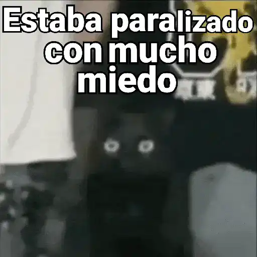 Gatos pa Responder🐱🌼