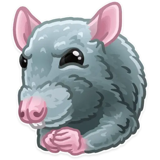 Animales 2.0 🥰🥰