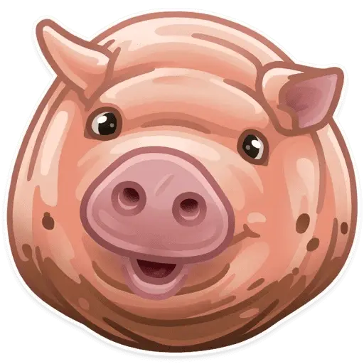 Animales 2.0 🥰🥰