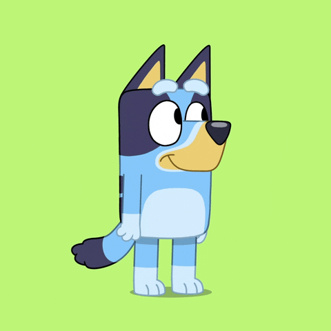 Bluey💙