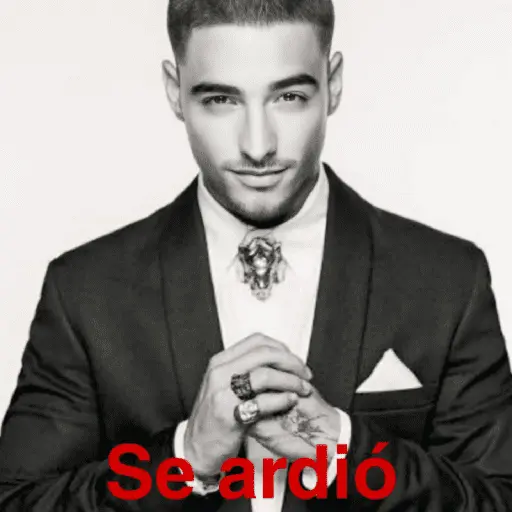 📮🎙️MALUMA Memes🎙️📮