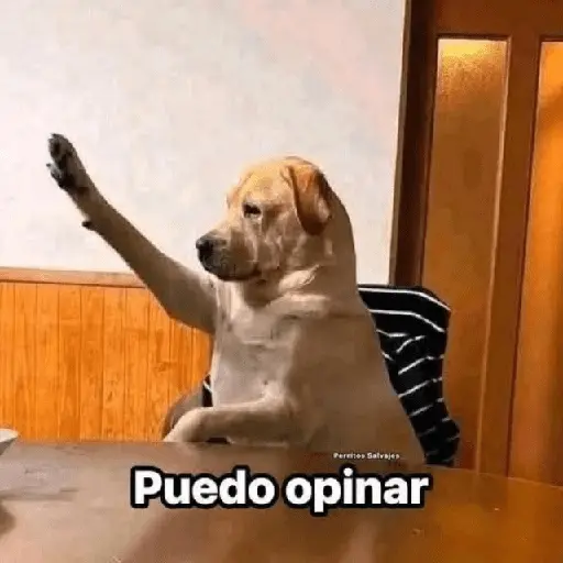 💥PAL GRUPO💥💬 3