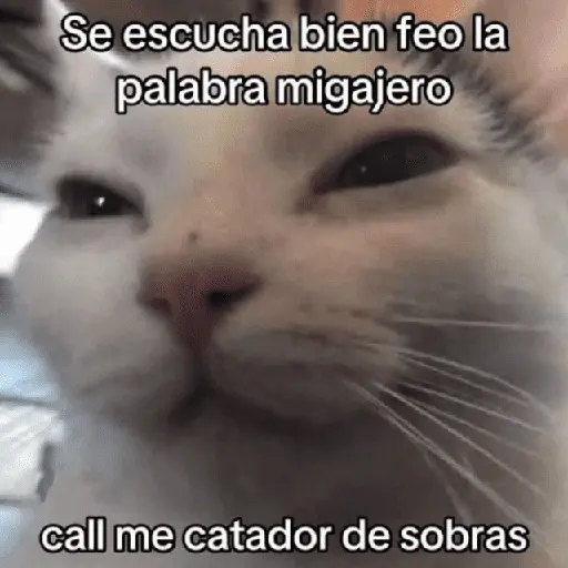 💥PAL GRUPO💥💬 3