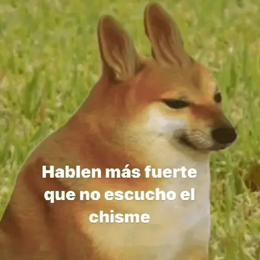 💥PAL GRUPO💥💬 3