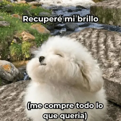 💥PAL GRUPO💥💬 3