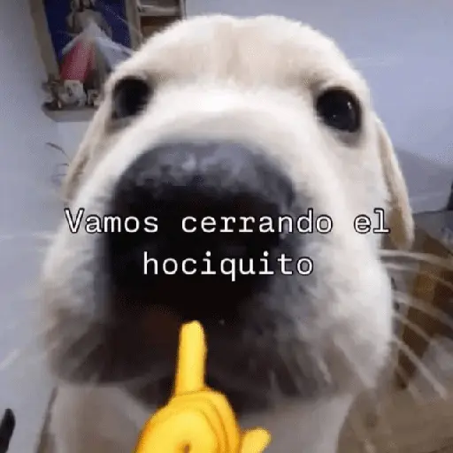 💥PAL GRUPO💥💬 3
