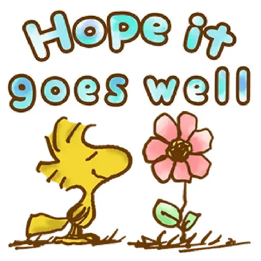 Snoopy For You 🐾