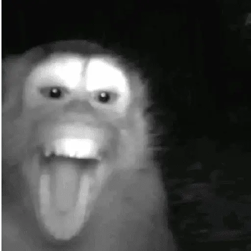 Animales facheritos