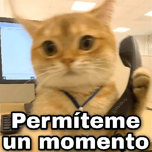 ✨ Memes mix 8 🪄🔥