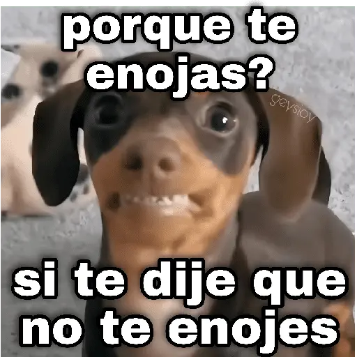 ✨ Memes mix 8 🪄🔥