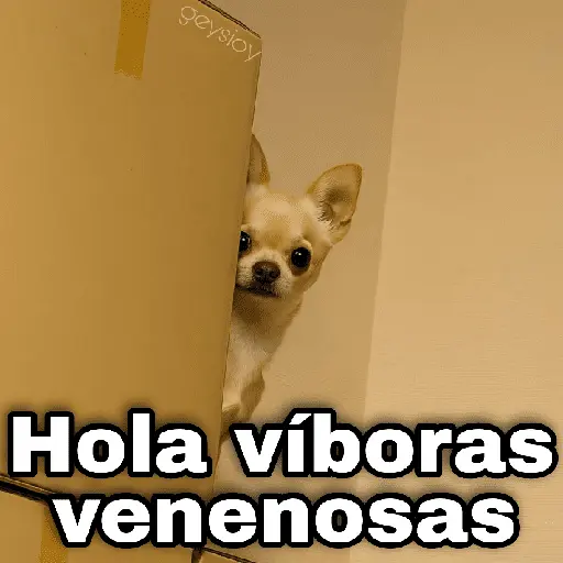 ✨ Memes mix 8 🪄🔥
