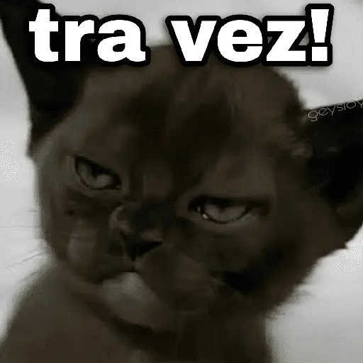 ✨ Memes mix 8 🪄🔥