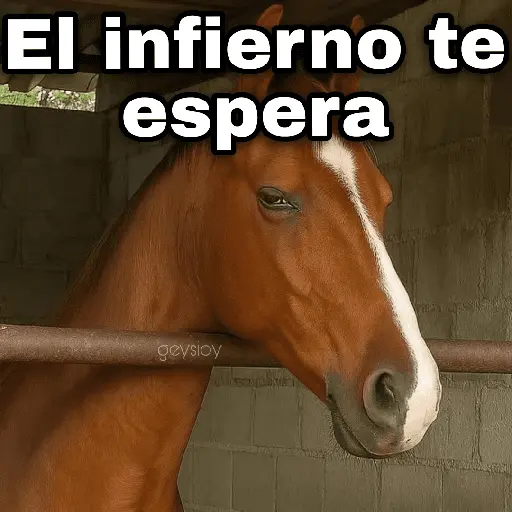 ✨ Memes mix 8 🪄🔥