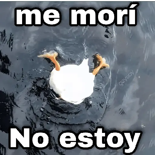 ✨ Memes mix 8 🪄🔥