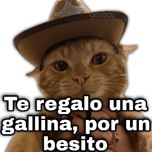 ✨ Memes mix 8 🪄🔥