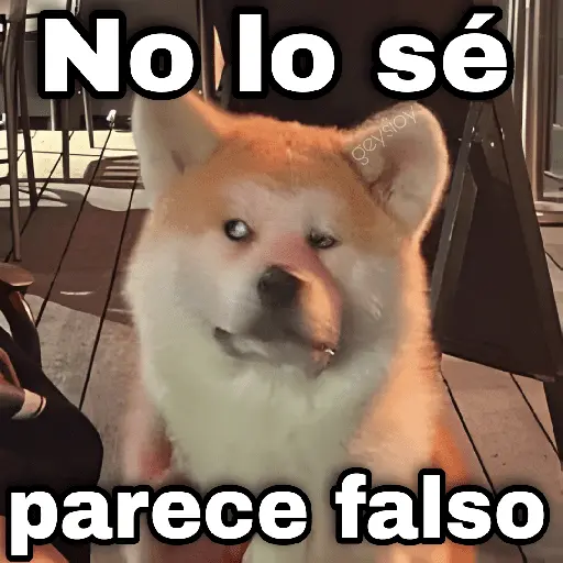 ✨ Memes mix 8 🪄🔥