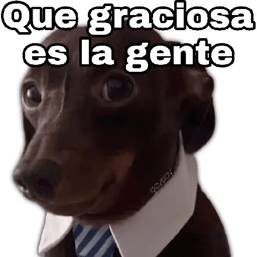 ✨ Memes mix 8 🪄🔥