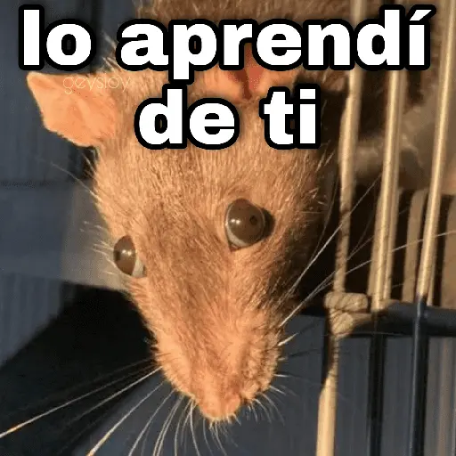 ✨ Memes mix 8 🪄🔥