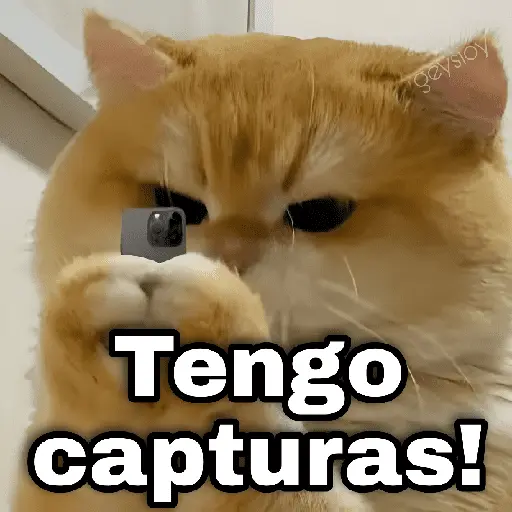 ✨ Memes mix 8 🪄🔥