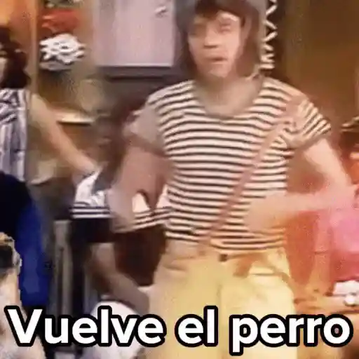 💣Memes animaditos 3💥