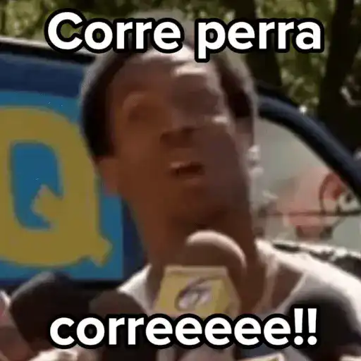 💣Memes animaditos 3💥