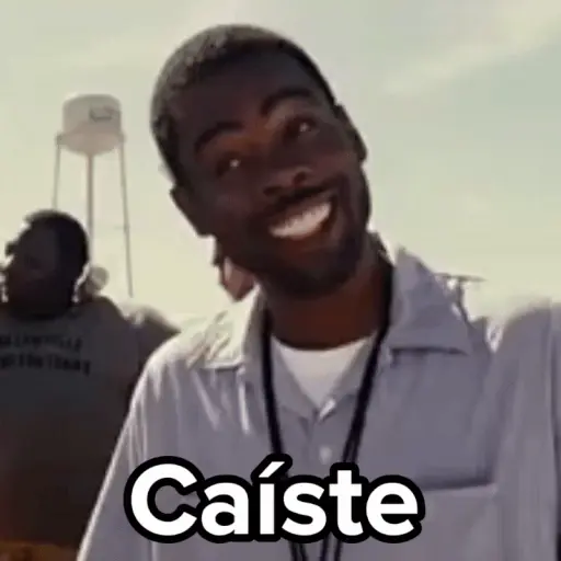 💣Memes animaditos 3💥