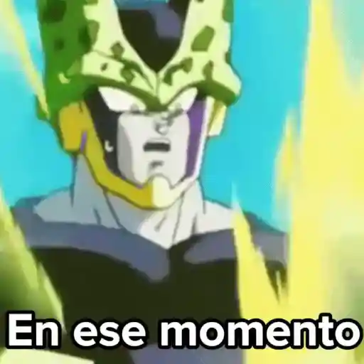 💣Memes animaditos 3💥