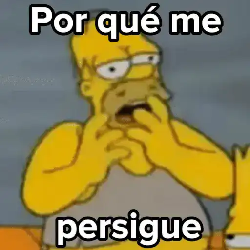 💣Memes animaditos 3💥