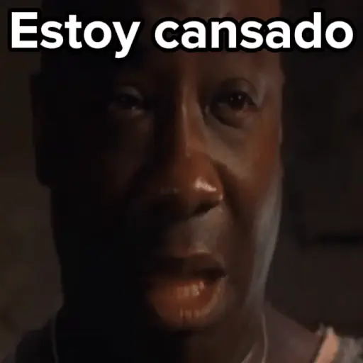 💣Memes animaditos 3💥