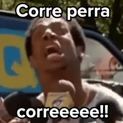 💣Memes animaditos 3💥 preview