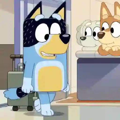 bluey