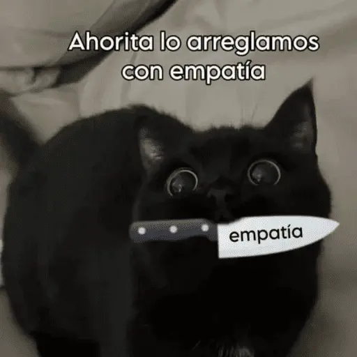 Gatos Pa Contestar🐈⚡