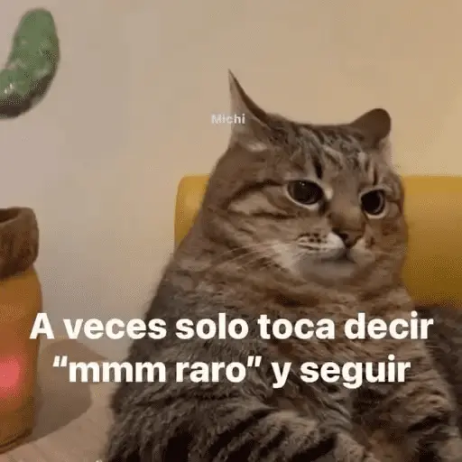 Gatos Pa Contestar🐈⚡
