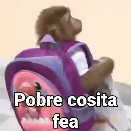 Monos con Frases 3🐒