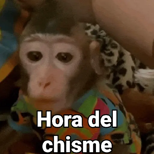 Monos con Frases 3🐒 preview