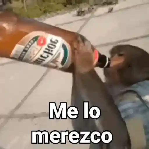 Monos con Frases 3🐒