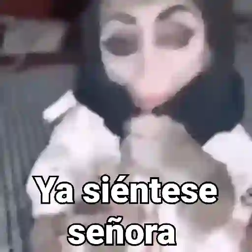 Monos con Frases 3🐒