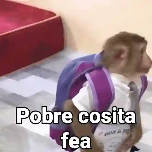 Monos con Frases 3🐒 preview