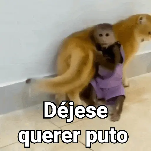 Monos con Frases 3🐒