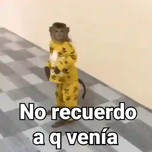 Monos con Frases 3🐒
