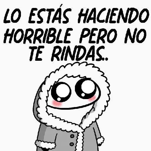 Flork frases 🖤😎