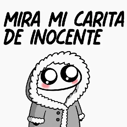 Flork frases 🖤😎